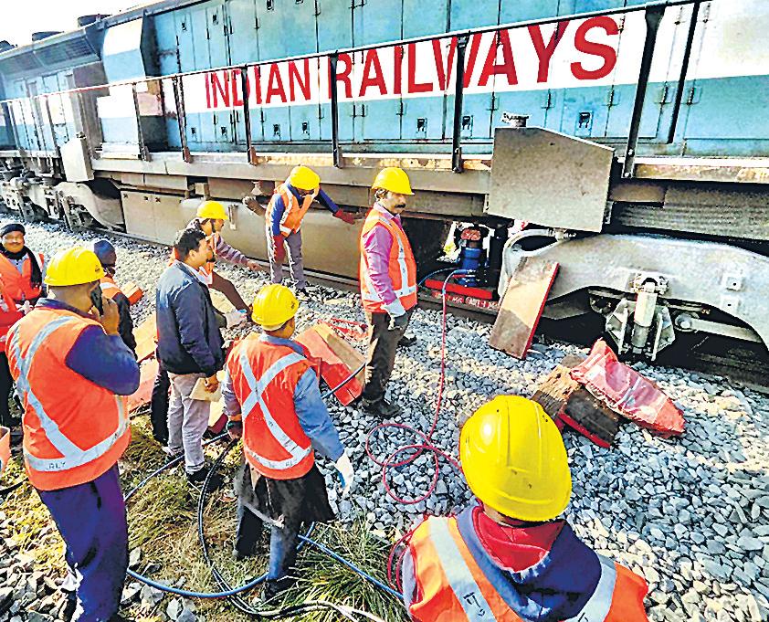 7 elephants run over by Rajdhani Express in Assam