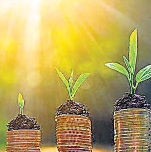 Centre may raise green bond target by 25% in FY26