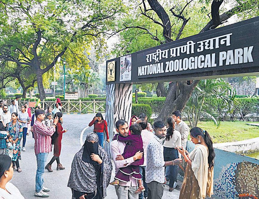Delhi zoo reopens to huge rush after 2-month hiatus