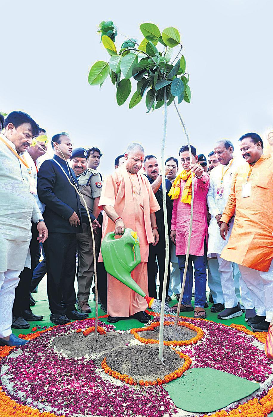 Turning heatwave into green wave: Yogi
