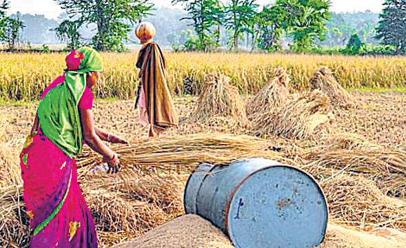 U.P. on top in wheat output but lags in procurement under MSP