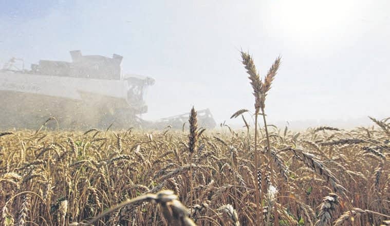 World food prices surge 20.7% to hit record high in Feb