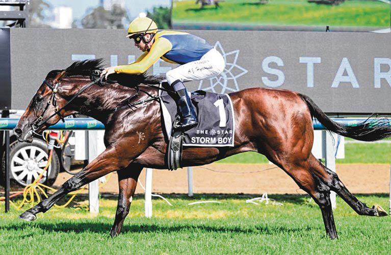 ICARIAN DREAM CAN BE REALISED