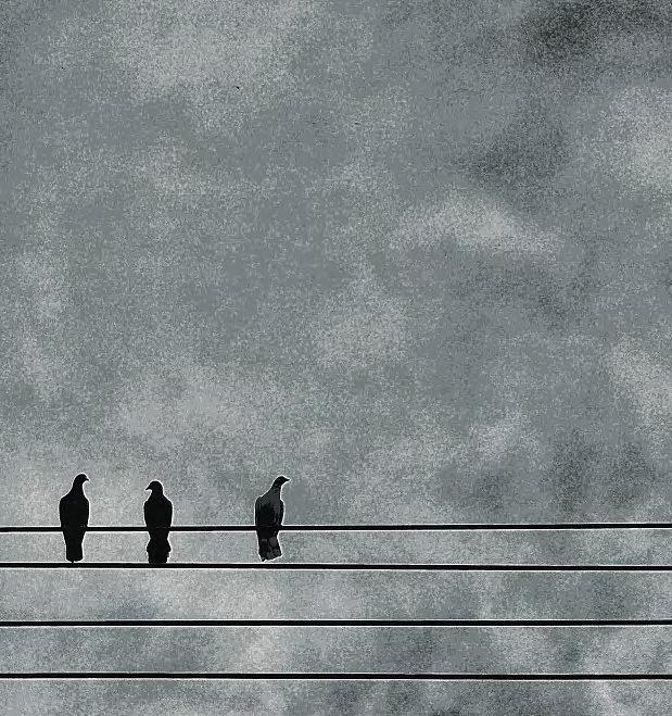 Zooming in on the pictures that matter