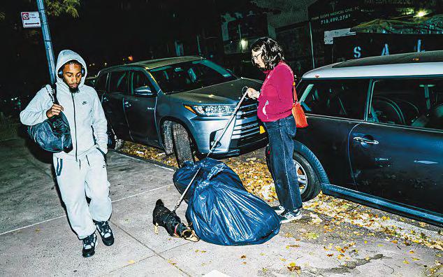 New York City's secret weapon in the war on rats: Katie the dog