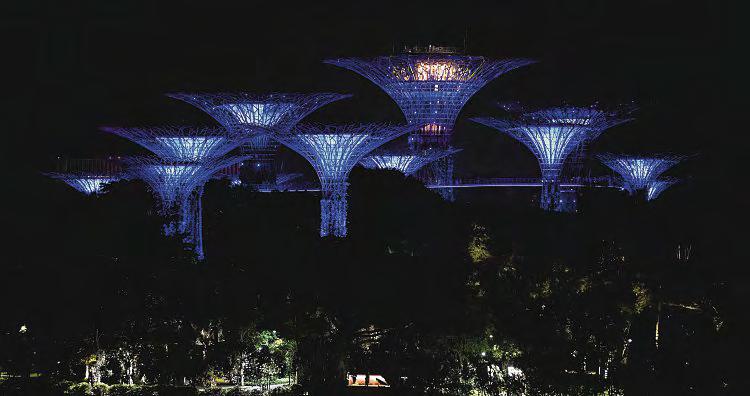 Returning home ● Thank you, Singapore, says US ambassador