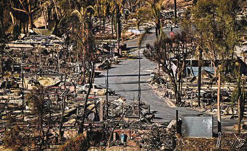 LA sports teams fork out $11m for fire relief efforts