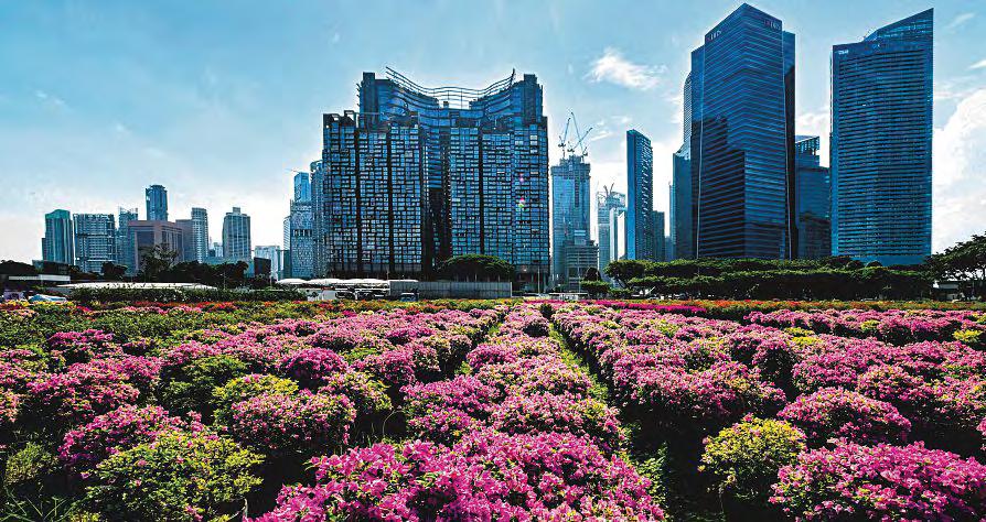 Only 1 in 4 of region's listed firms finds nature-related issues material