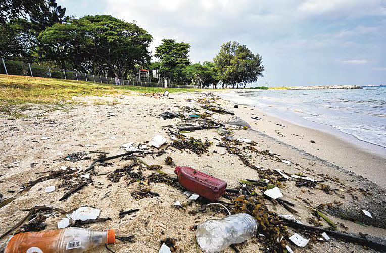 Most plastic trash on local beaches originates from offshore sources: Study