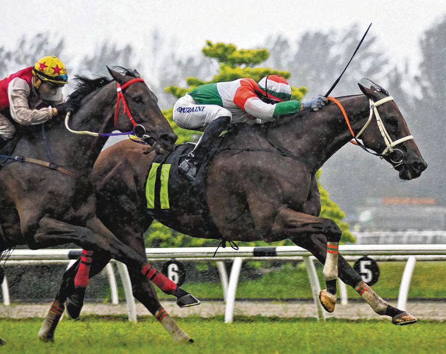 THUNDERSTORM READY TO ROLL