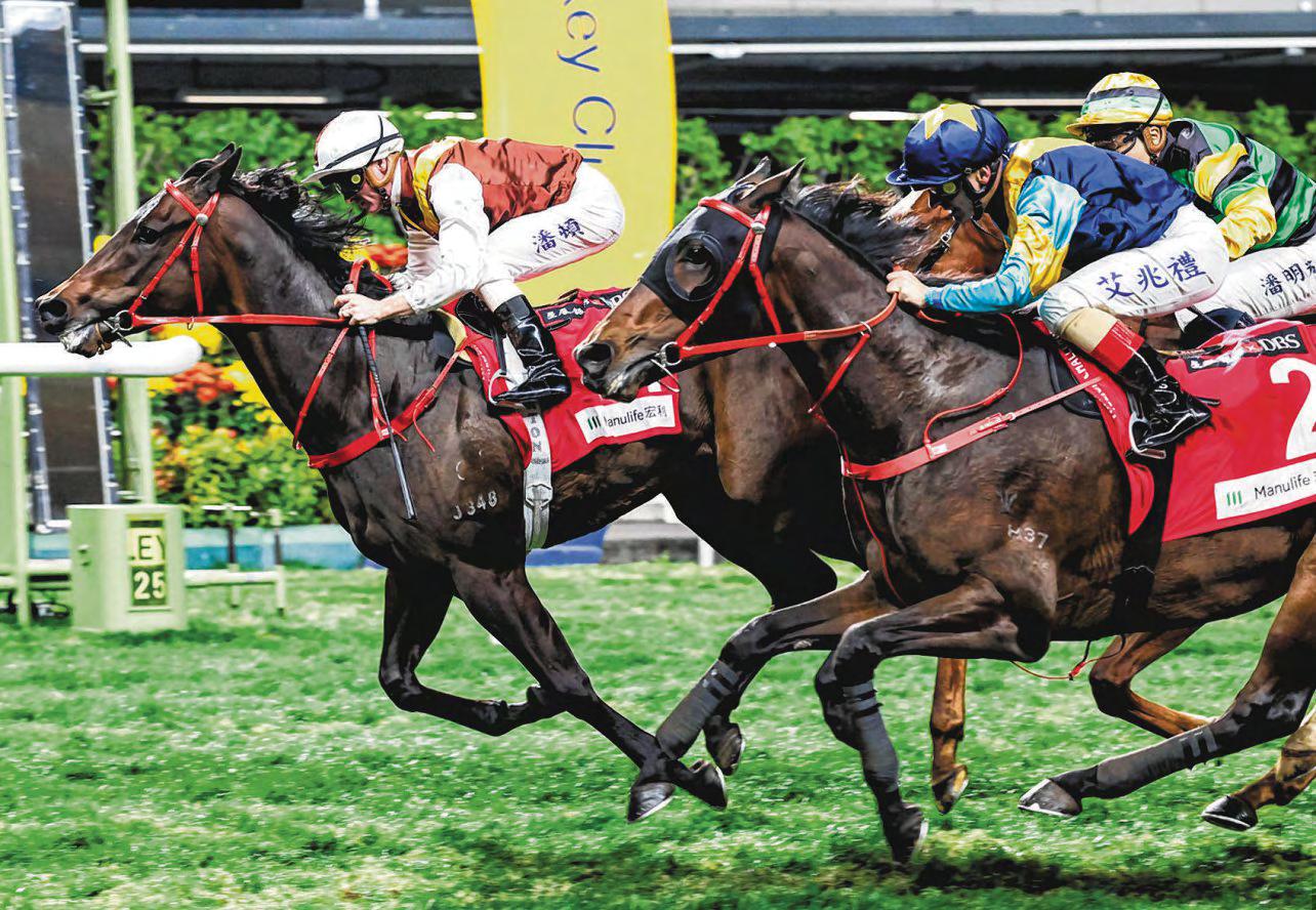 Purton Stands Alone At Pinnacle In Hong Kong