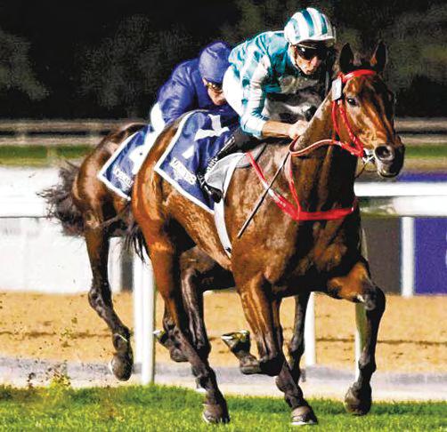 Romantic Warrior Conquers Dubai
