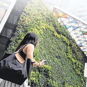 Fewer S'pore layoffs in 2024 than in 2023; resident employment up