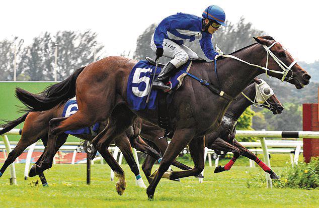 Maynard's Duo Catch The Eye At Trackwork