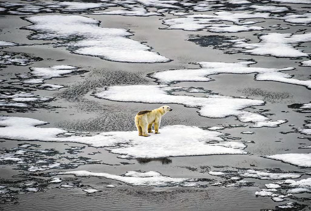The Arctic Is Hotting Up And It's Not Just Climate