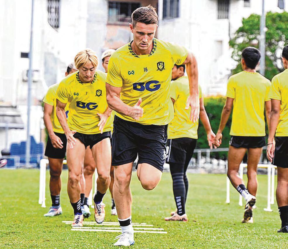 Stags Can Outfox Sailors