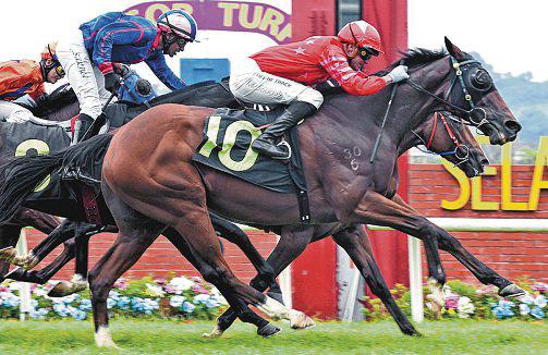 DUNDERDALE DUO LOOK GOOD