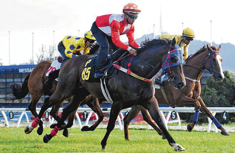 PLATINUM FORT IS HOLDING STRONG