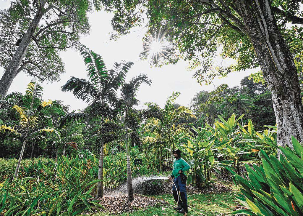 Here's what botanic gardens can do to keep up with the biodiversity crisis