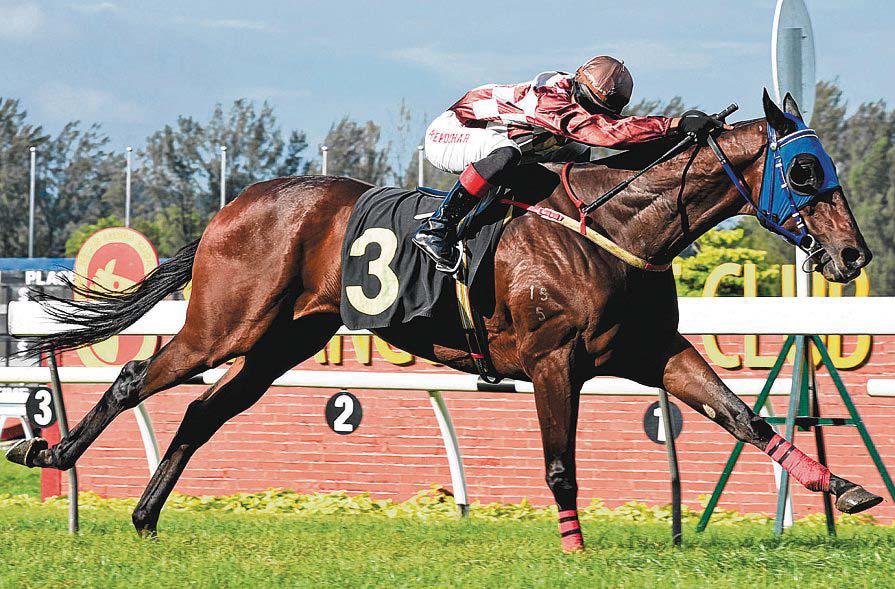 Mr Big Brother Raring To Go Again