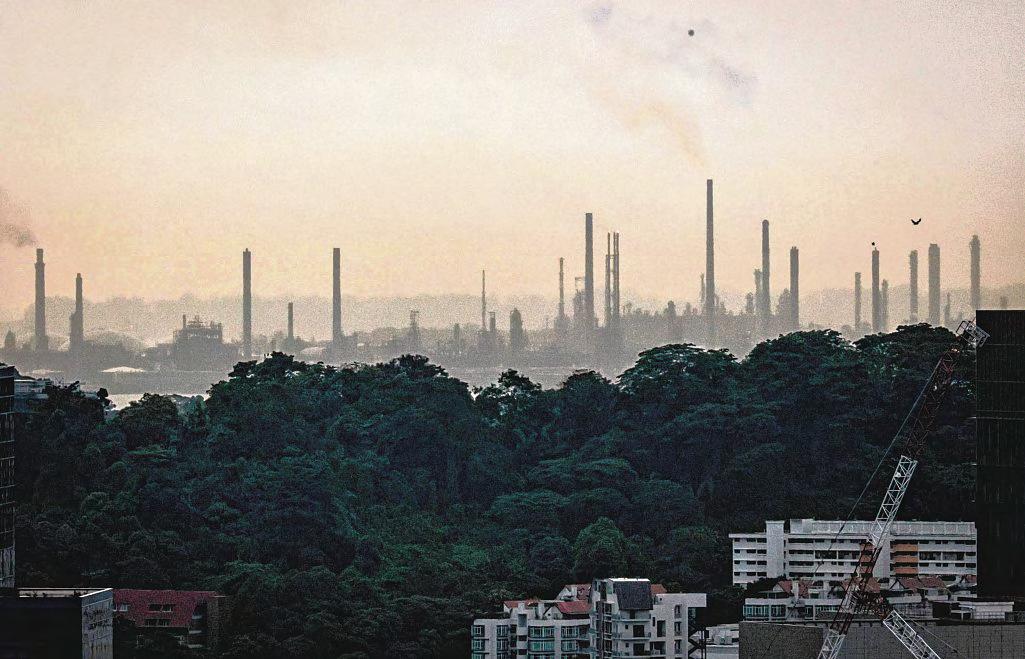 S'pore Could Buy Its First Set Of Carbon Credits In 2025; MTI To Call For Proposals