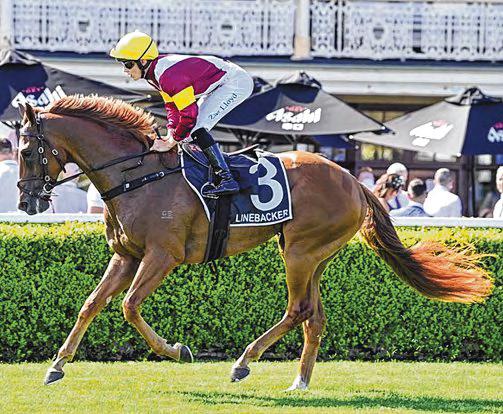 Linebacker Is Charlton's 1st Group 1 Winner