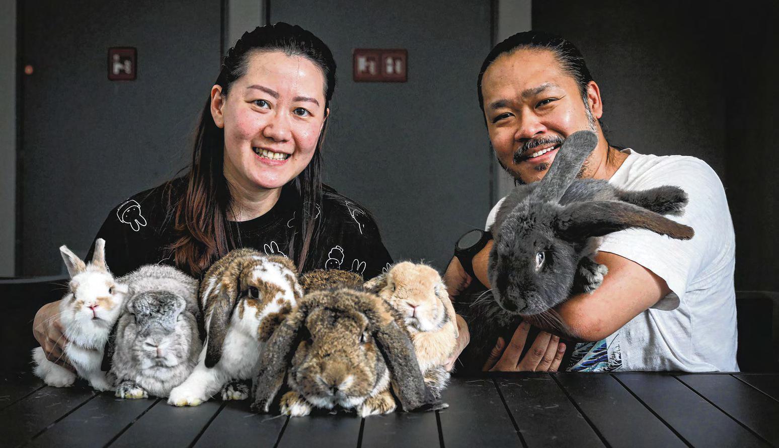 Couple Raise 6 Rabbits, Go Out With Them