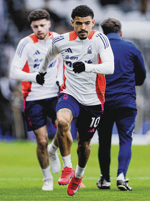 Old-School Forest Rely On Efficiency