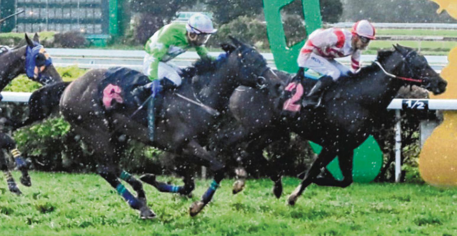 Brandenburg Fights To Win For New Boss