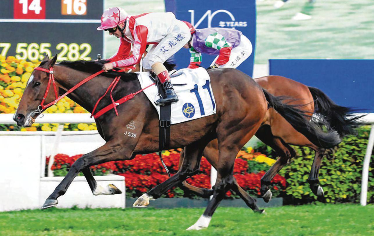 Yip Keeps The Faith In Noisy Boy