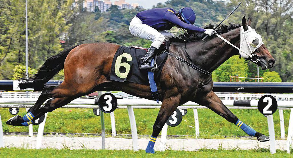 HONESTY IS THE WAY TO GO