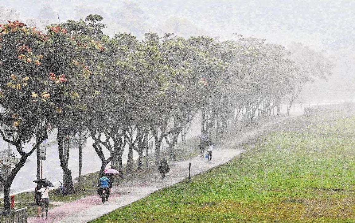 Businesses hit, sports and travel disrupted by incessant rain