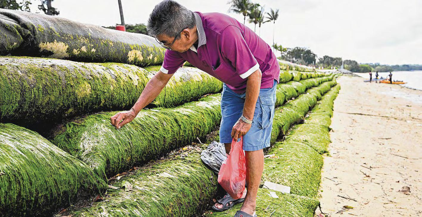 Funds being set aside to help future generations tackle climate change