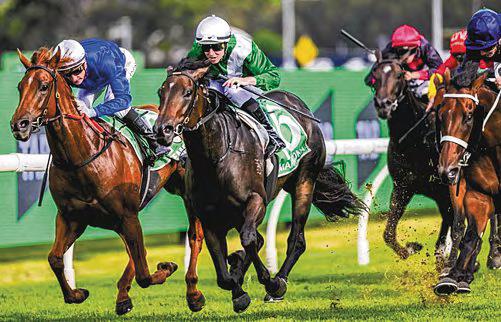 A Solo Slipper For Freedman