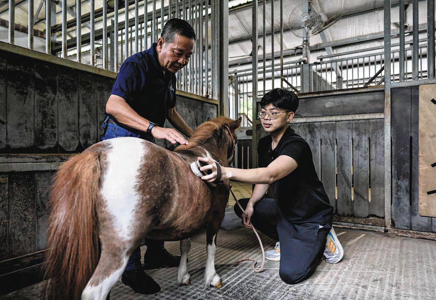 The Healing Touch of Animal Therapy