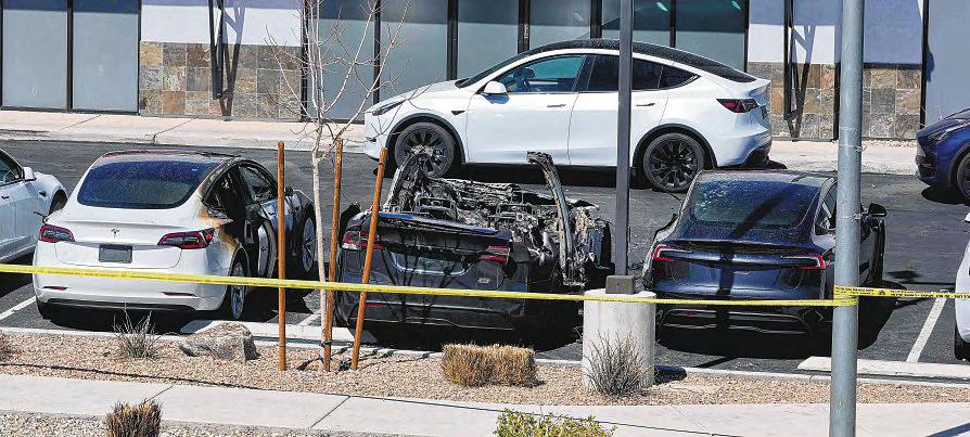 Teslas, eggs and executive orders: Trump scrambles the status quo