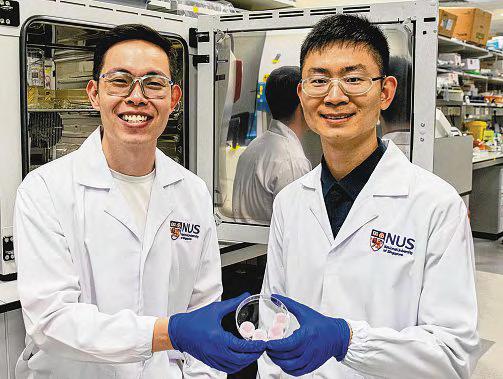 Researchers Develop Microneedles to Accelerate Diabetic Wound Healing