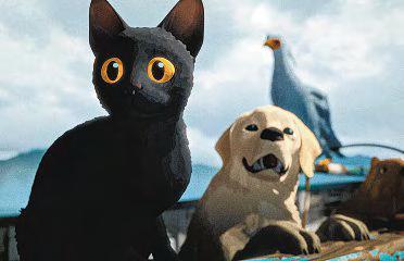 The Oscar-winning movie that pets cannot stop watching