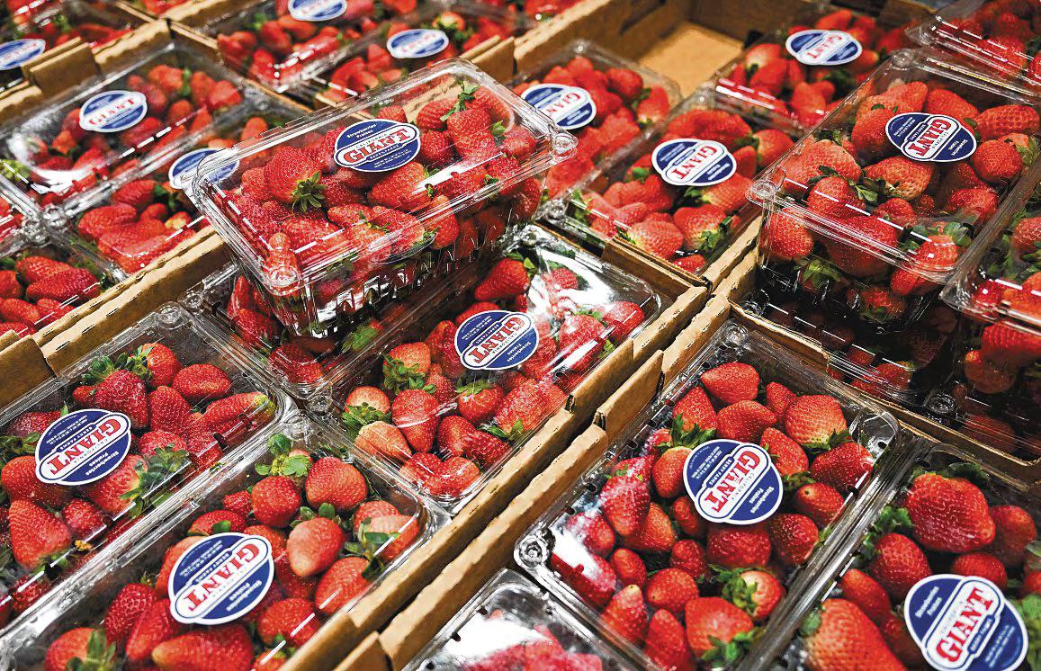 The Unstoppable Rise of the Strawberry Should Worry Us