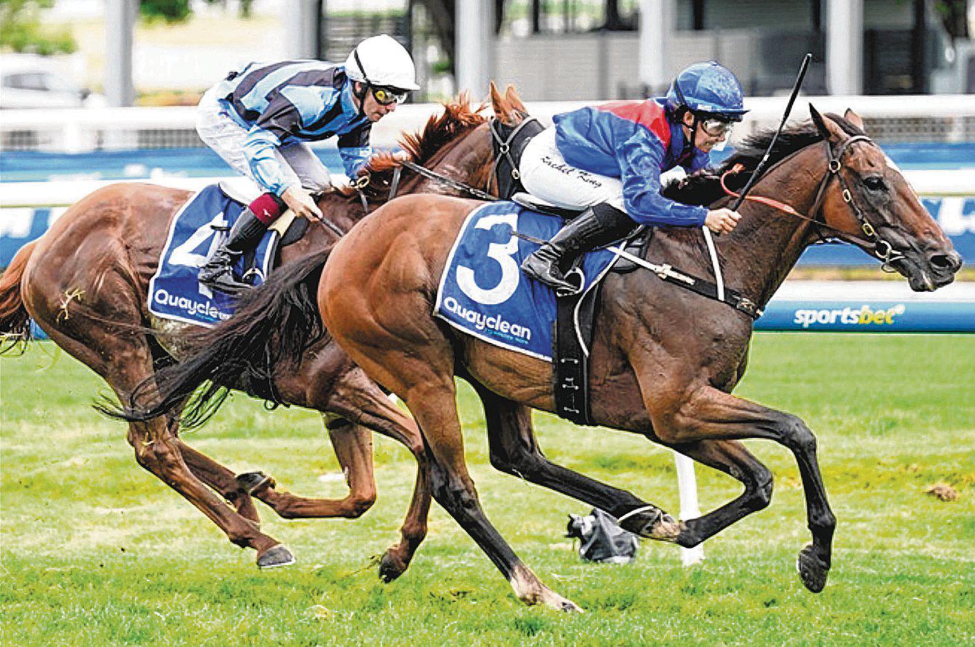 Arapaho Takes Aim At Second Tancred Win