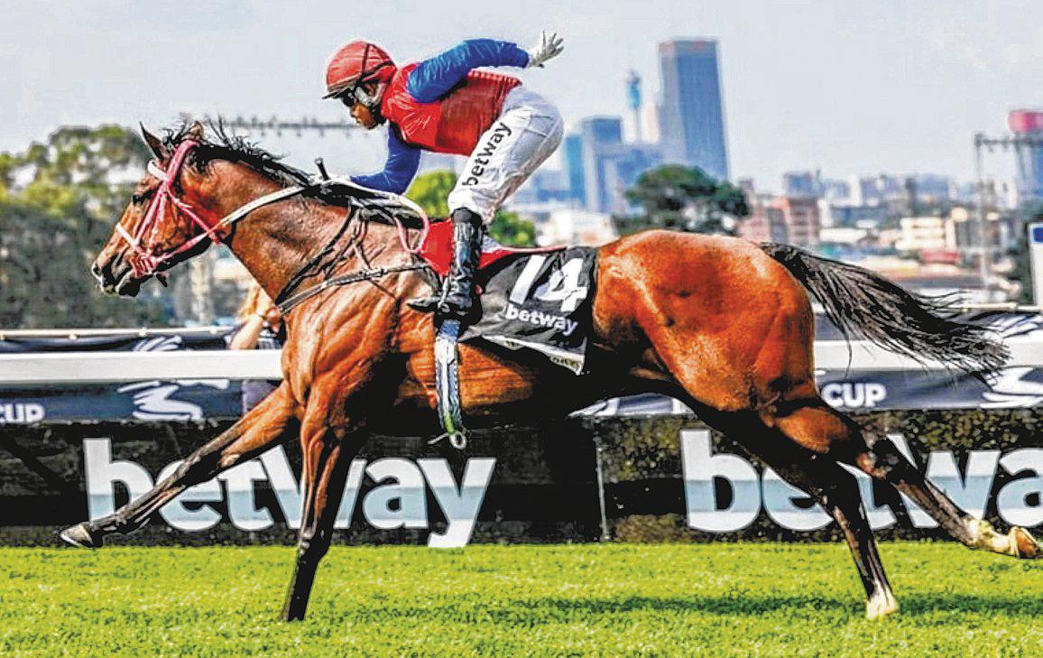 It's Champions Galore at Turffontein Day 3 Finale