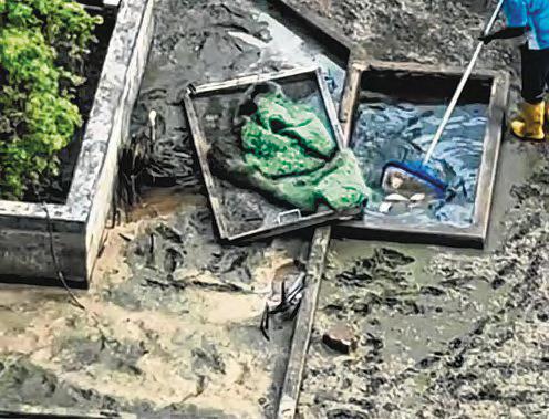 NParks Investigating After Pond at Condo Drained With Live Fish Still Inside