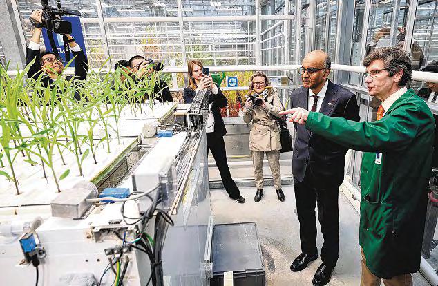 President Tharman meets Belgian business chiefs, visits university