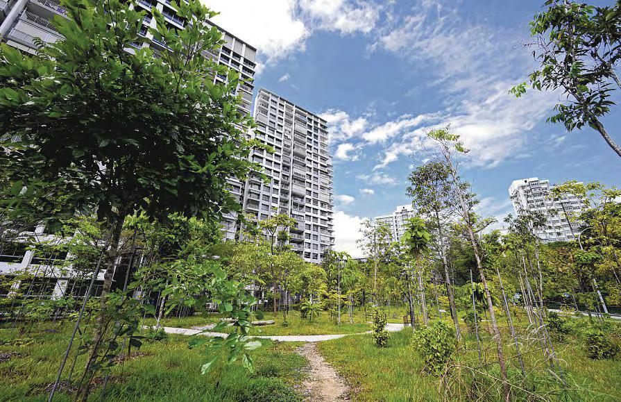 2 Interim Parks in Taman Jurong Bring Nature Closer to Residents