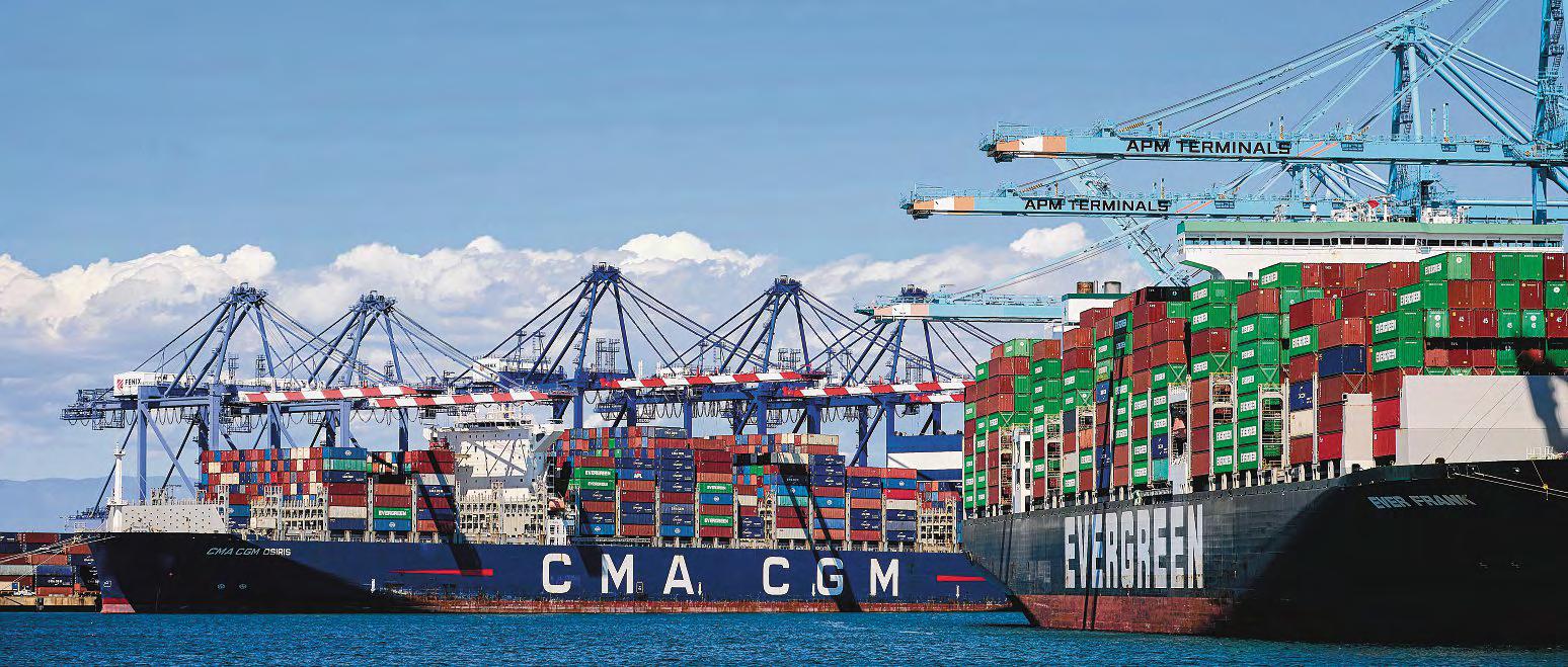 With Trump's tariff bombshell, world trade heads for the law of the jungle