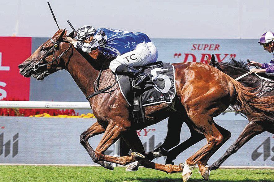 Vauban Eyes Melbourne Cup Via Queen Elizabeth