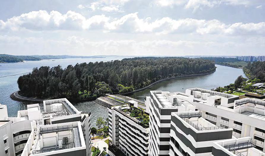 Housing: HDB's Two Suggestions Don't Address Persistent Challenges Singles Face in Securing Flats