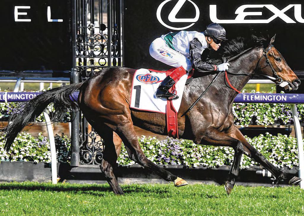 Mr Brightside et al take on HK's champions