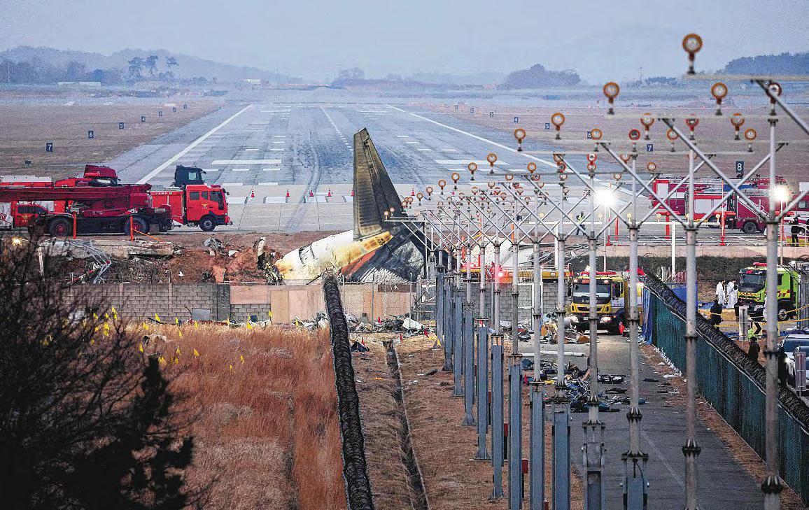 S. Korean airport was often warned about bird strikes before plane crash