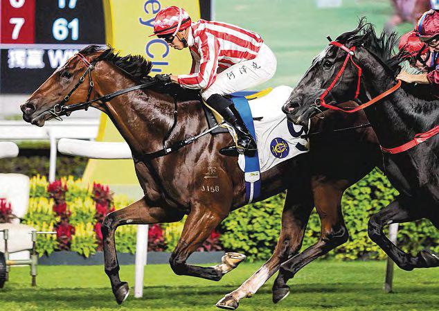 King Miles Can Beat The Draw